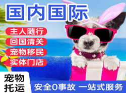二连浩特空运地址国际宠物托运 【国